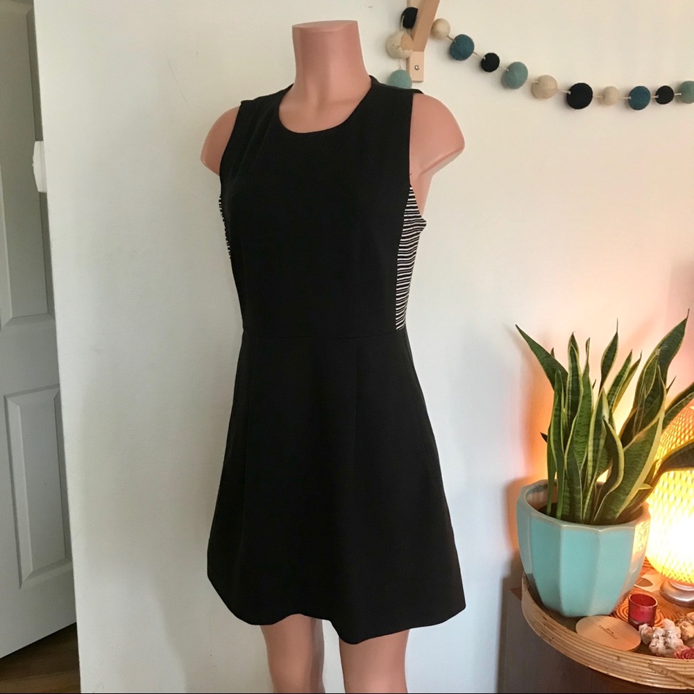Madewell fit flare stretch mini black white dress